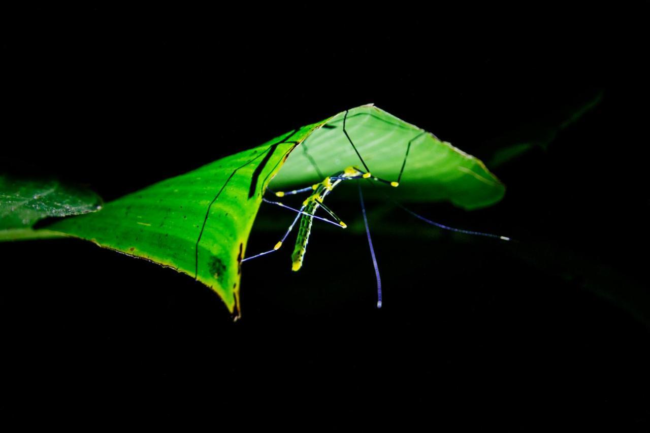Kuyana Amazon Lodge Archidona エクステリア 写真