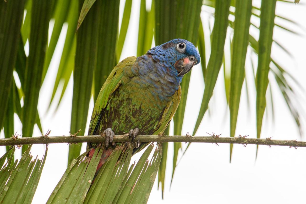 Kuyana Amazon Lodge Archidona エクステリア 写真